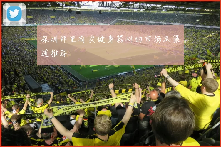 深圳那里有卖健身器材的市场及渠道推荐