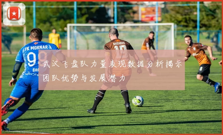 武汉飞盘队力量表现数据分析揭示团队优势与发展潜力