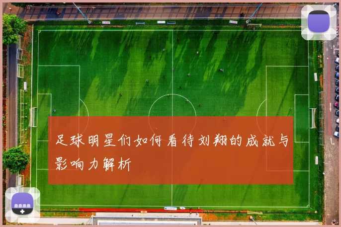 足球明星们如何看待刘翔的成就与影响力解析