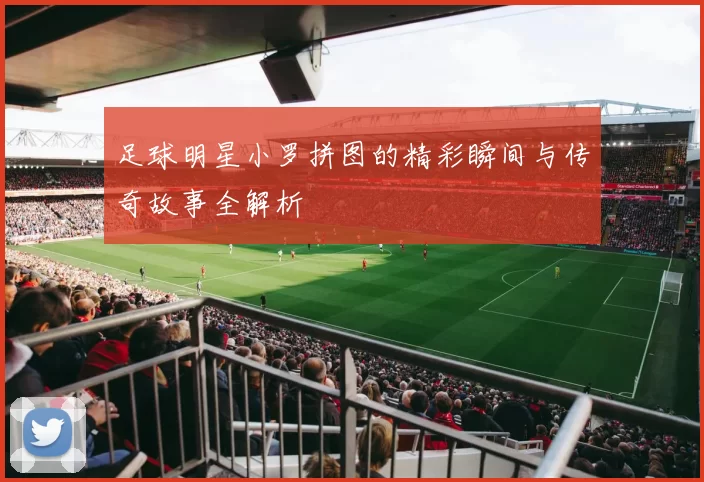 足球明星小罗拼图的精彩瞬间与传奇故事全解析