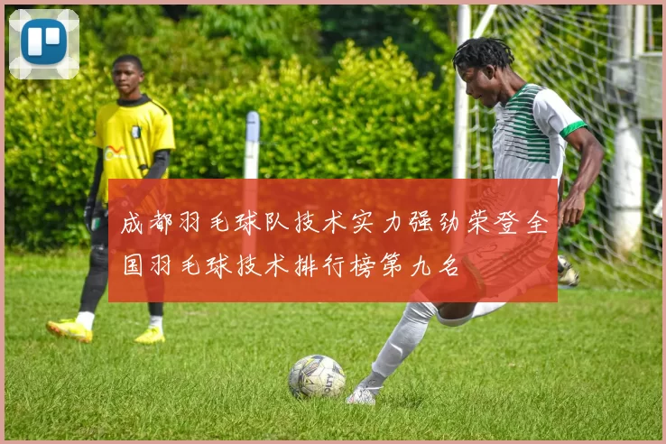 成都羽毛球队技术实力强劲荣登全国羽毛球技术排行榜第九名