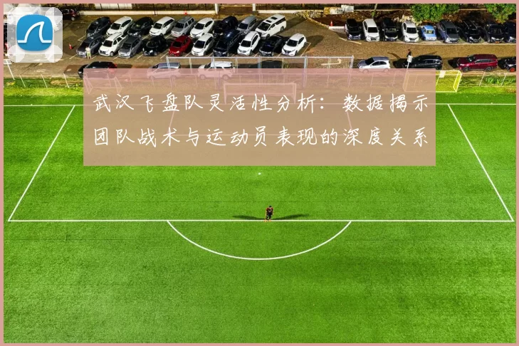 武汉飞盘队灵活性分析：数据揭示团队战术与运动员表现的深度关系