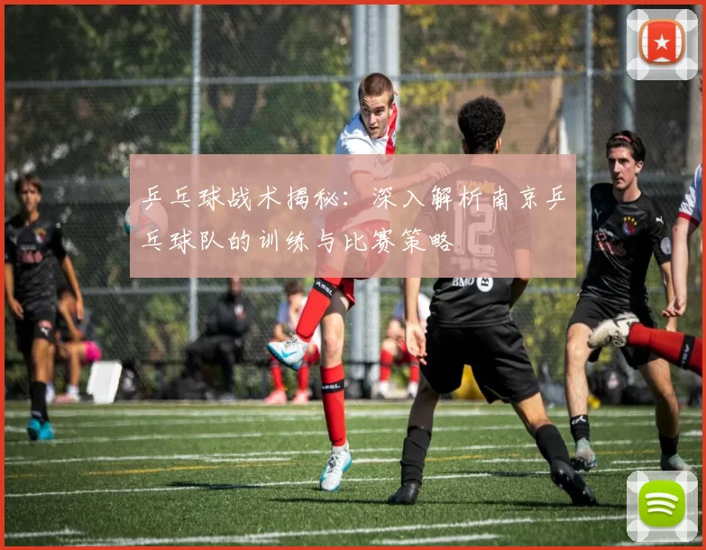 乒乓球战术揭秘：深入解析南京乒乓球队的训练与比赛策略