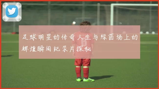 足球明星的传奇人生与绿茵场上的辉煌瞬间纪录片探秘