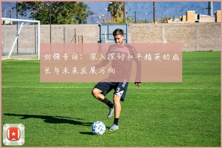 刘强专访：深入探讨和平精英的成长与未来发展方向