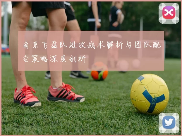 南京飞盘队进攻战术解析与团队配合策略深度剖析