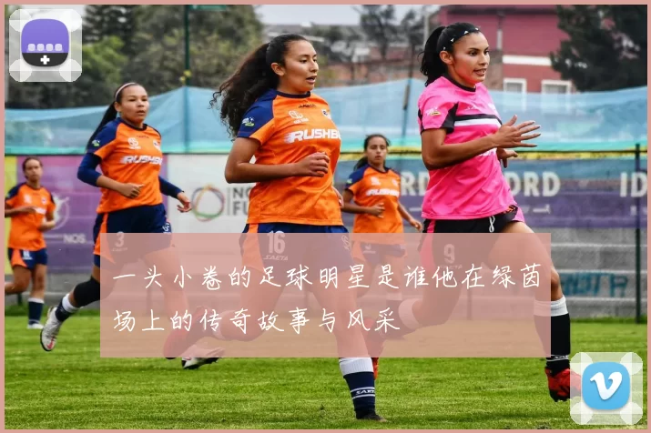 一头小卷的足球明星是谁他在绿茵场上的传奇故事与风采