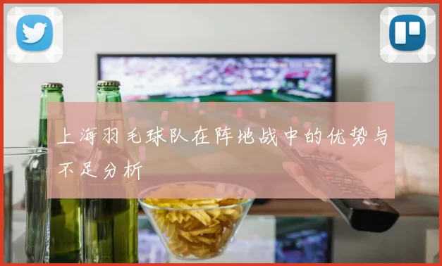 上海羽毛球队在阵地战中的优势与不足分析