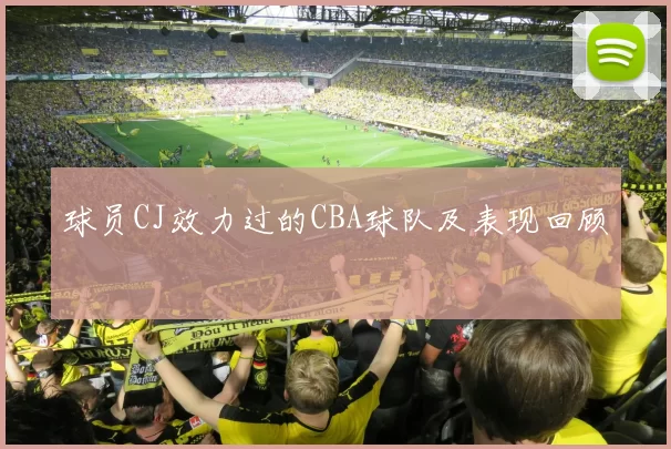 球员CJ效力过的CBA球队及表现回顾