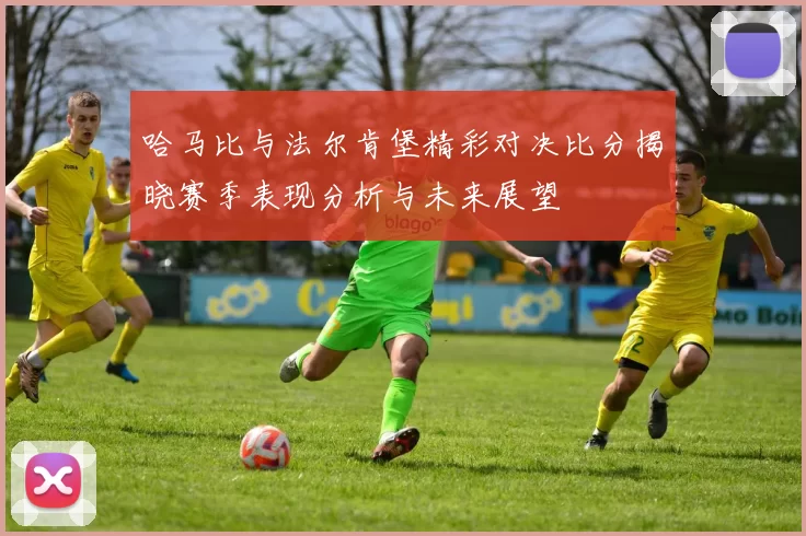哈马比与法尔肯堡精彩对决比分揭晓赛季表现分析与未来展望