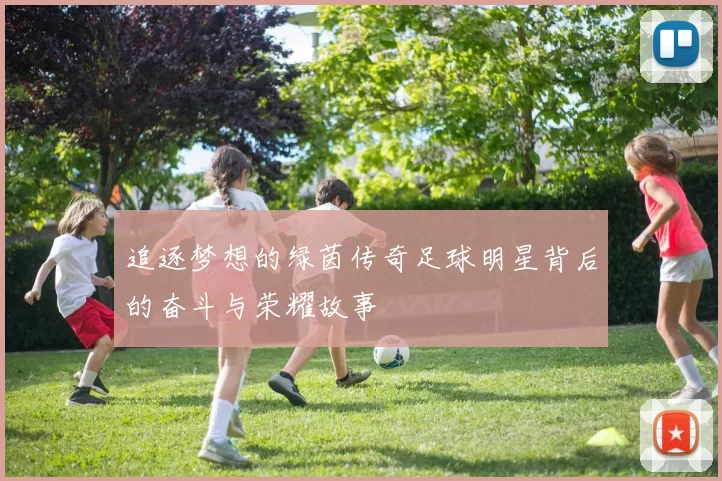 追逐梦想的绿茵传奇足球明星背后的奋斗与荣耀故事