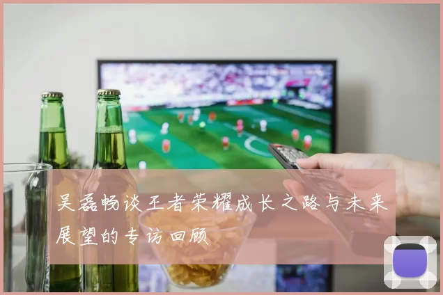 吴磊畅谈王者荣耀成长之路与未来展望的专访回顾