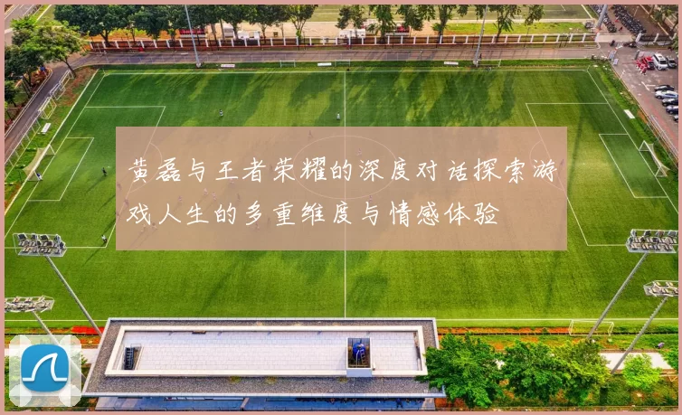 黄磊与王者荣耀的深度对话探索游戏人生的多重维度与情感体验