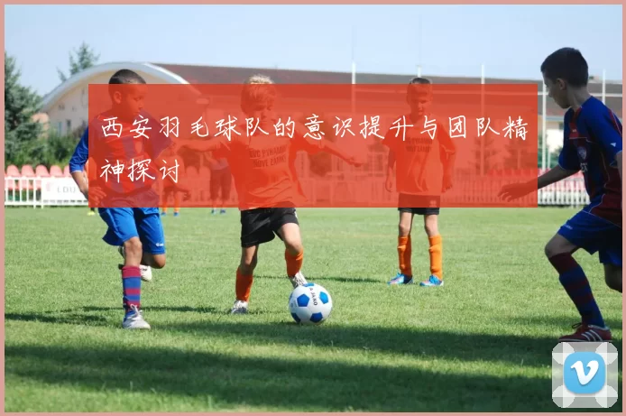 西安羽毛球队的意识提升与团队精神探讨
