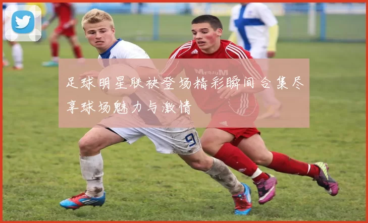 足球明星联袂登场精彩瞬间合集尽享球场魅力与激情