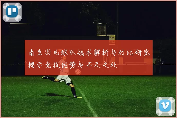 南京羽毛球队战术解析与对比研究揭示竞技优势与不足之处