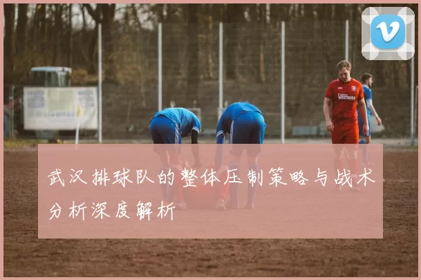武汉排球队的整体压制策略与战术分析深度解析