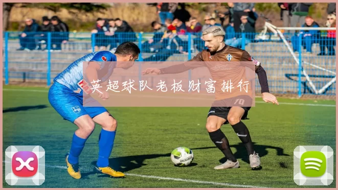 英超球队老板财富排行