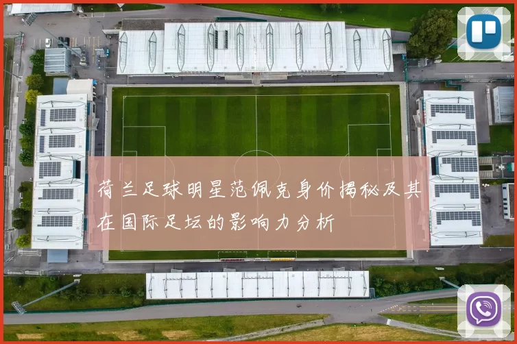 荷兰足球明星范佩克身价揭秘及其在国际足坛的影响力分析