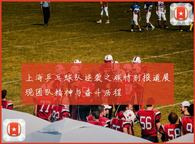 上海乒乓球队逆袭之旅特别报道展现团队精神与奋斗历程
