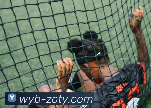 中欧体育平台生态图