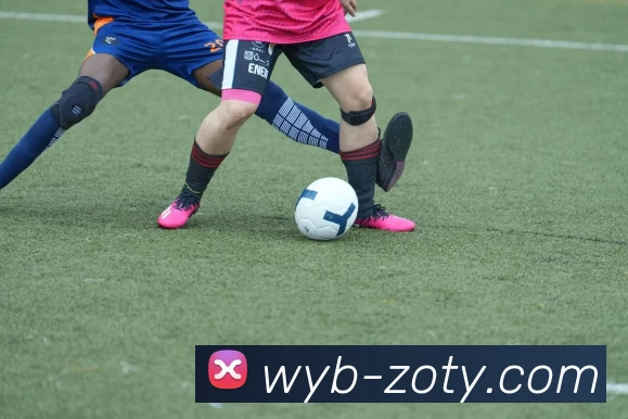 中欧体育全站App